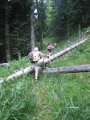 photos_michelg